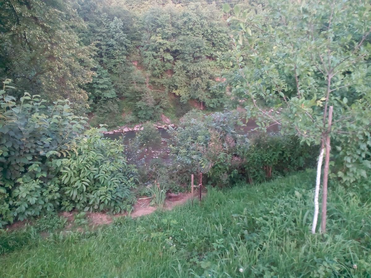 Borgaza Otel Yaremche Dış mekan fotoğraf