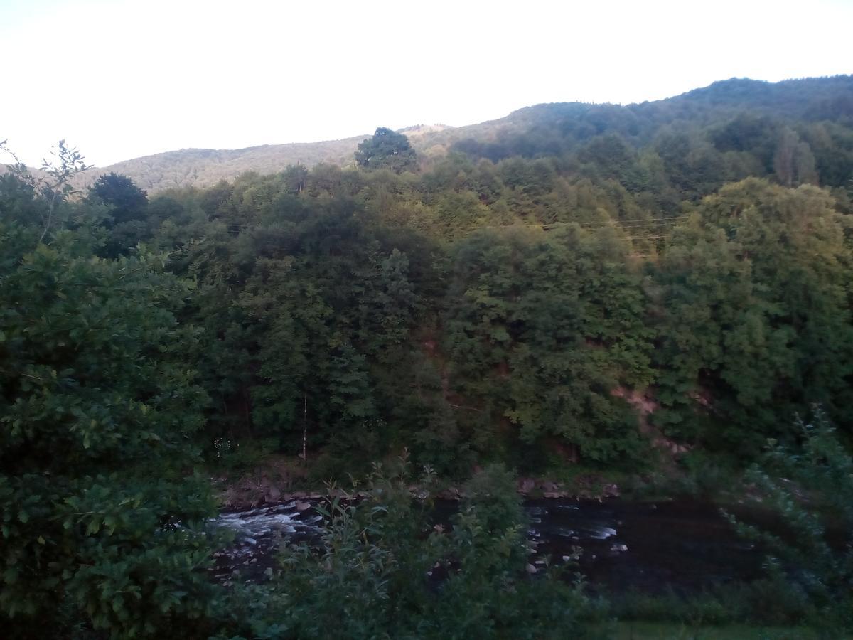 Borgaza Otel Yaremche Dış mekan fotoğraf