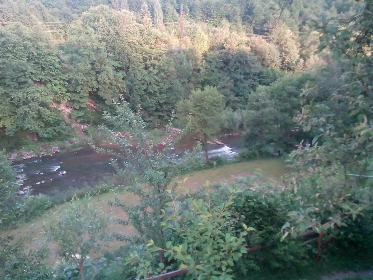 Borgaza Otel Yaremche Dış mekan fotoğraf