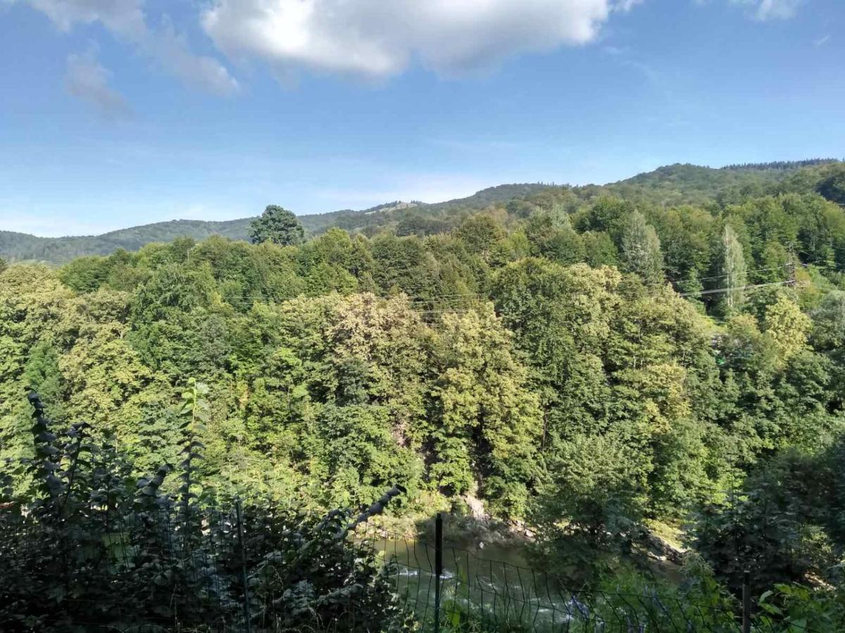 Borgaza Otel Yaremche Dış mekan fotoğraf