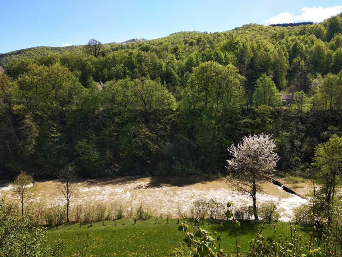 Borgaza Otel Yaremche Dış mekan fotoğraf
