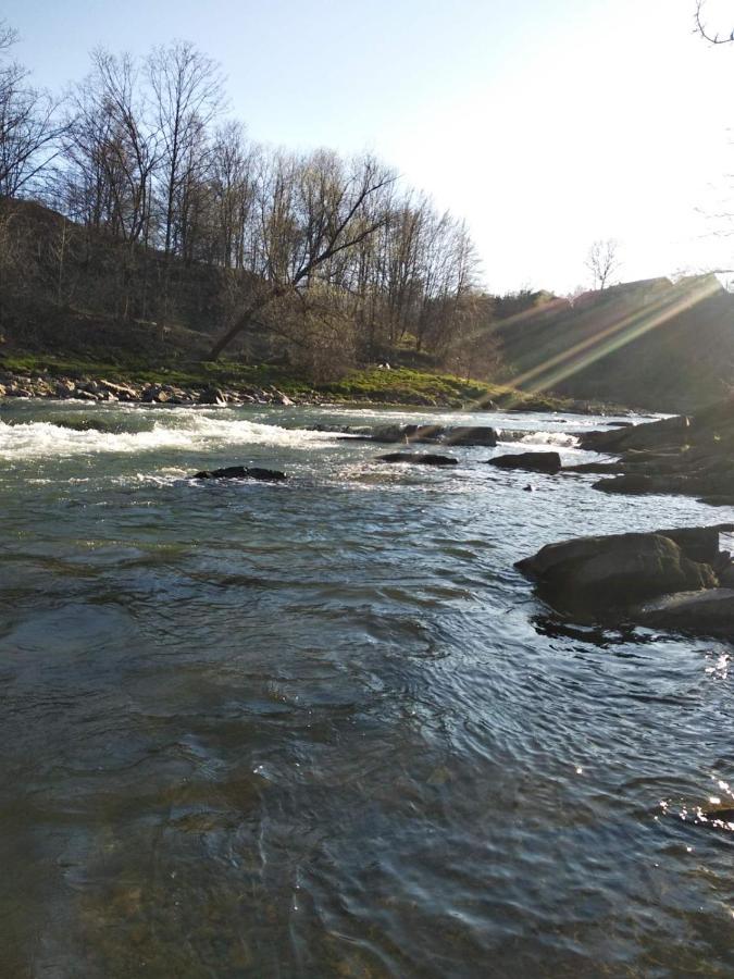 Borgaza Otel Yaremche Dış mekan fotoğraf